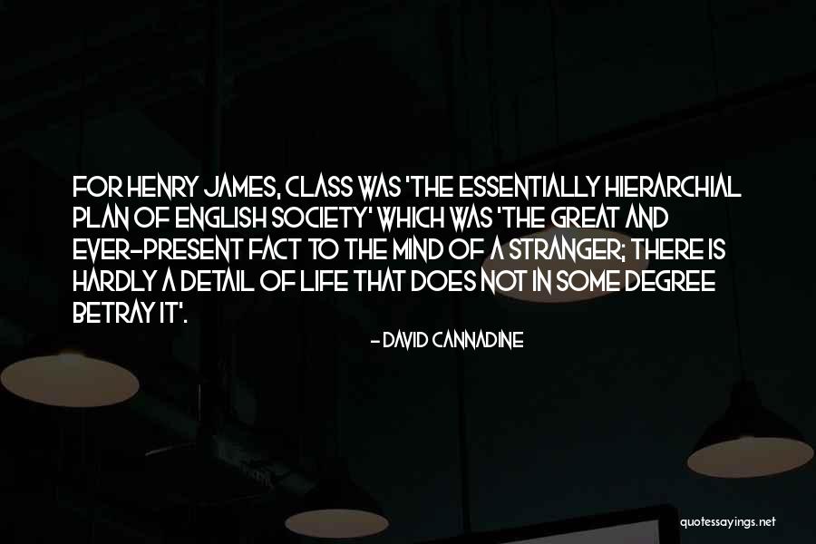 Society In The Stranger Quotes By David Cannadine
