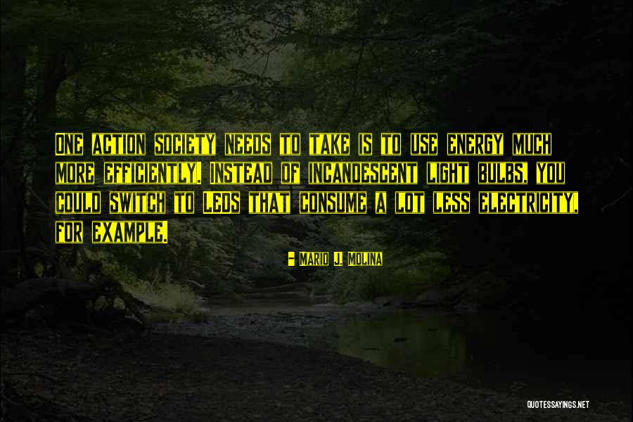 Society Needs Quotes By Mario J. Molina Society Needs Quotes By Mario J. Molina
