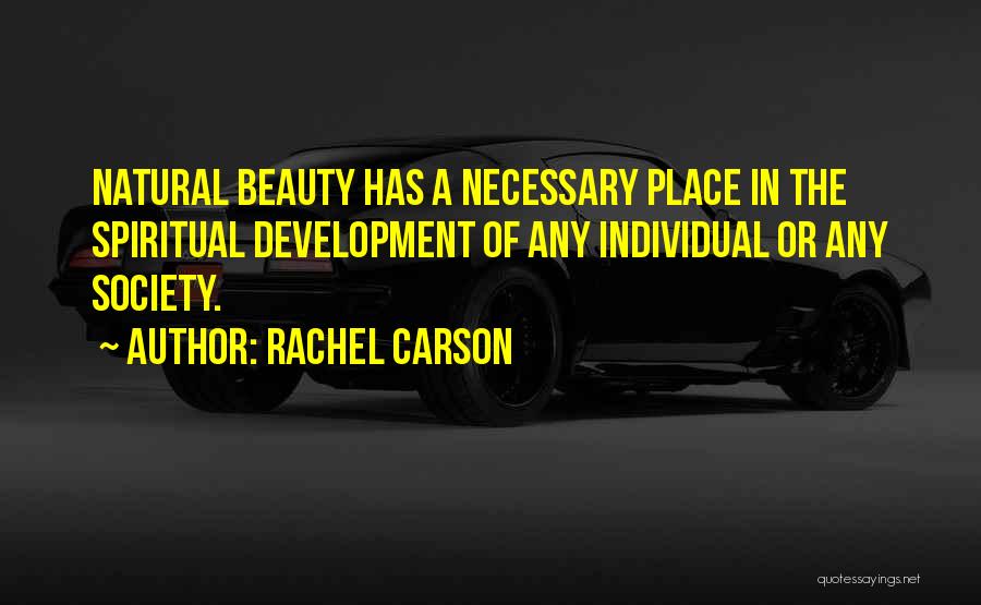Society Vs Individual Quotes By Rachel Carson