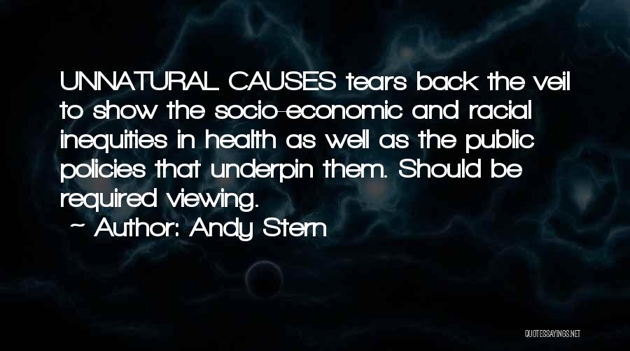 Socio Economic Quotes By Andy Stern