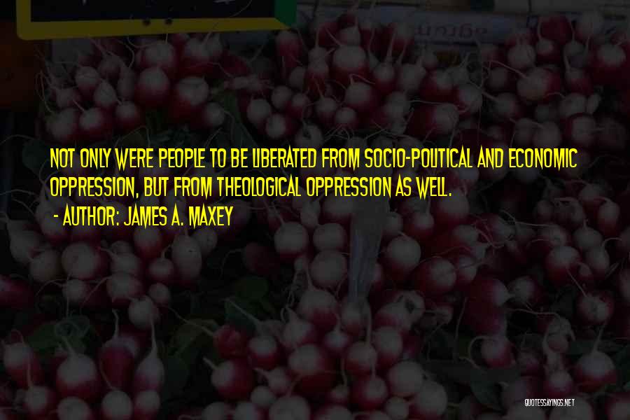 Socio Economic Quotes By James A. Maxey