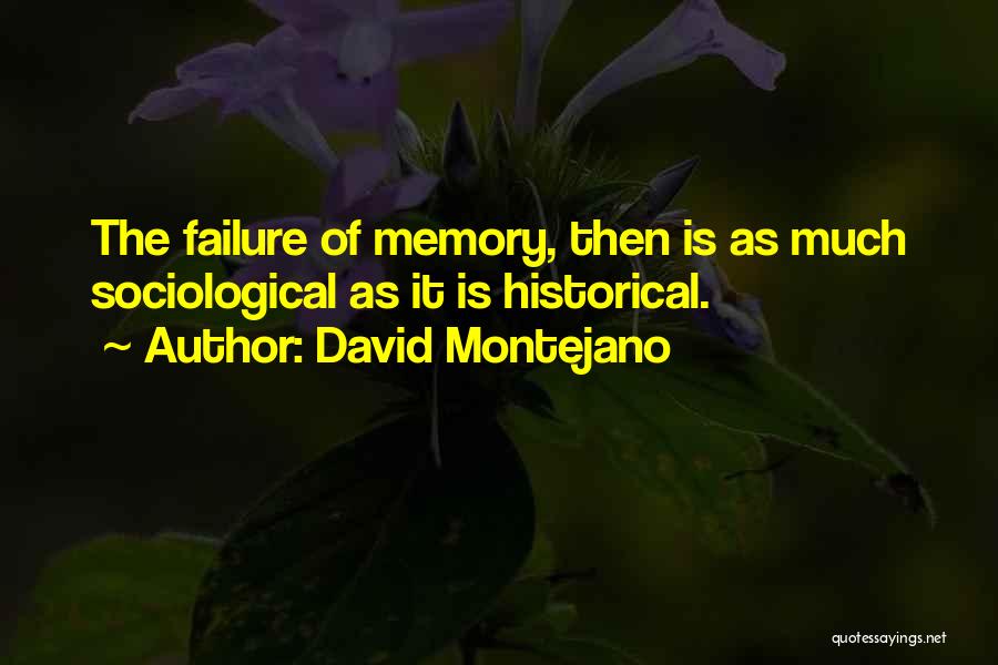 Sociological Quotes By David Montejano