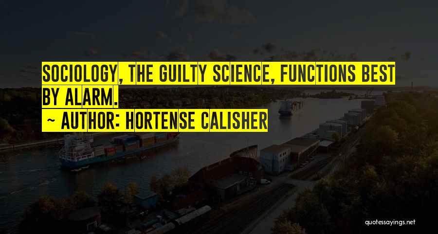 Sociology Quotes By Hortense Calisher