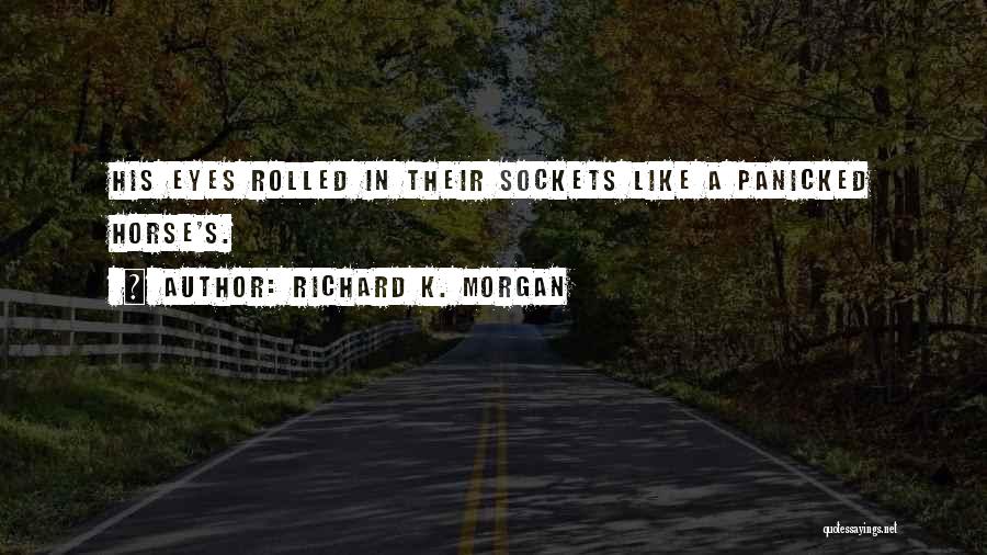 Sockets Quotes By Richard K. Morgan