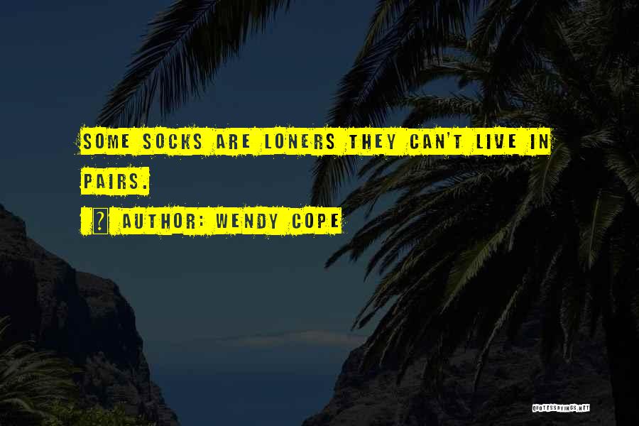 Socks Quotes By Wendy Cope