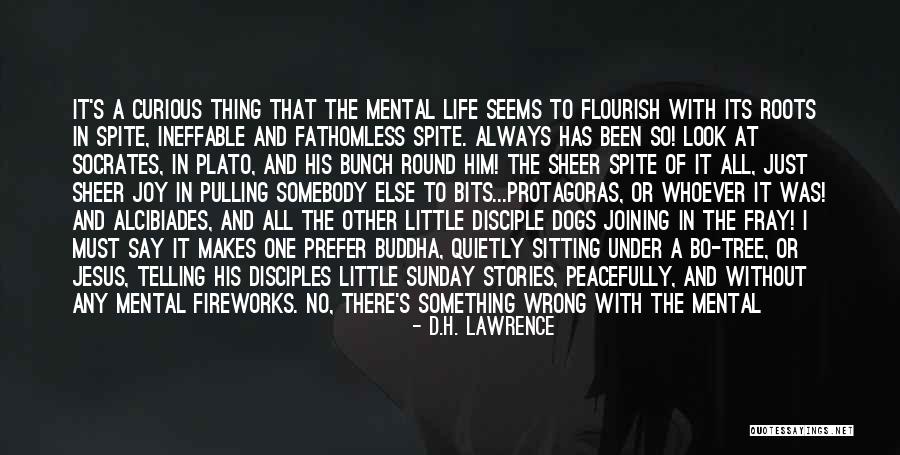 Socrates And Plato Quotes By D.H. Lawrence Socrates And Plato Quotes By D.H. Lawrence