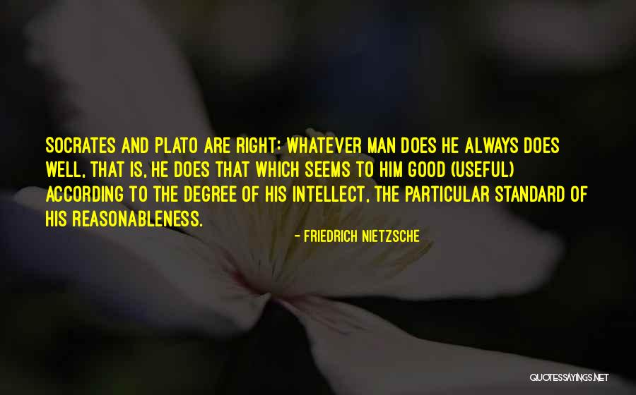 Socrates And Plato Quotes By Friedrich Nietzsche Socrates And Plato Quotes By Friedrich Nietzsche