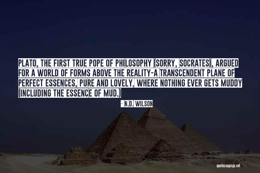 Socrates And Plato Quotes By N.D. Wilson Socrates And Plato Quotes By N.D. Wilson