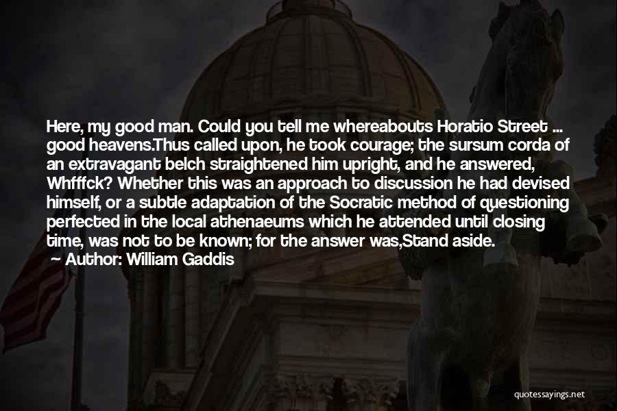 Socratic Questioning Quotes By William Gaddis