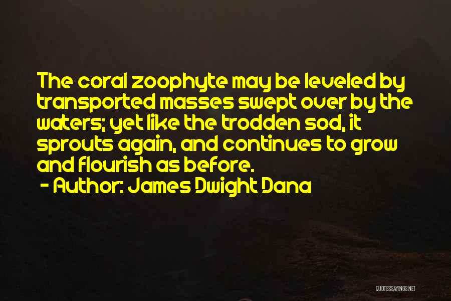 Sod Off Quotes By James Dwight Dana