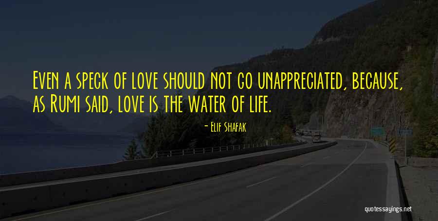 Sodininko Quotes By Elif Shafak Sodininko Quotes By Elif Shafak