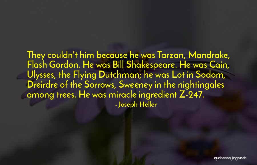 Sodom Quotes By Joseph Heller