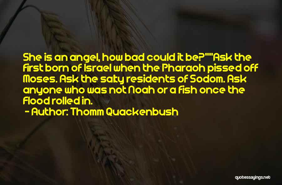 Sodom Quotes By Thomm Quackenbush