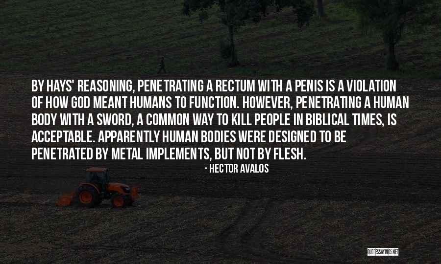 Sodomy Quotes By Hector Avalos Sodomy Quotes By Hector Avalos