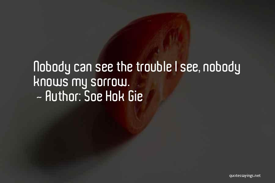 Soe Hok Gie Quotes 629828