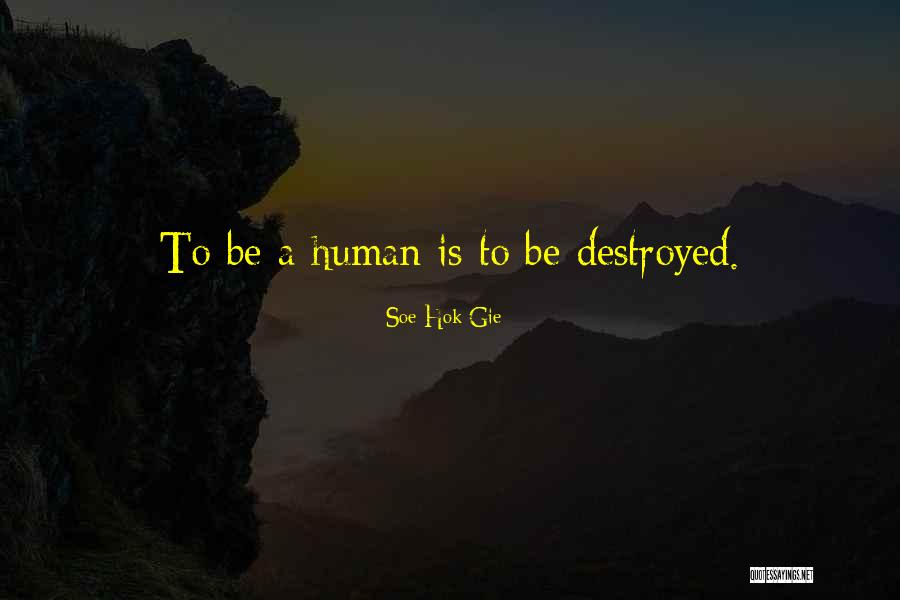 Soe Hok Gie Quotes 940493 Soe Hok Gie Quotes 940493
