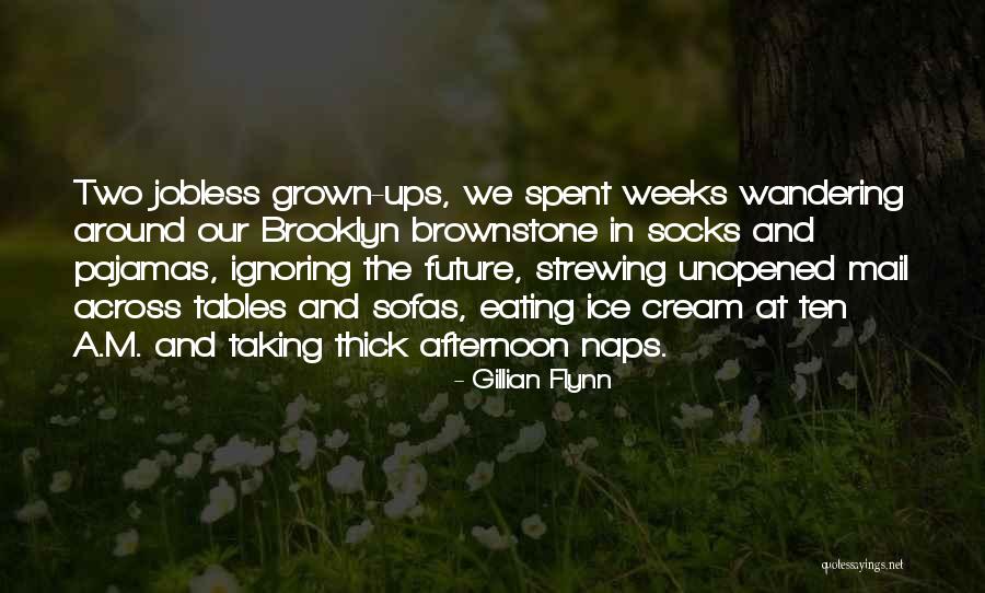 Sofas Quotes By Gillian Flynn Sofas Quotes By Gillian Flynn