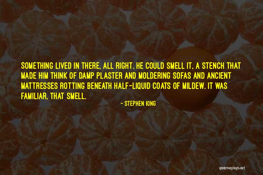 Sofas Quotes By Stephen King Sofas Quotes By Stephen King