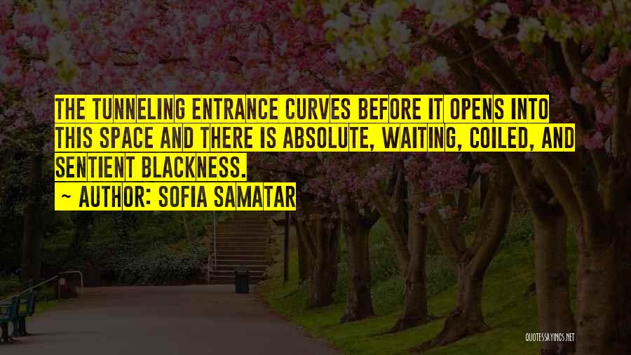 Sofia Samatar Quotes 1434870