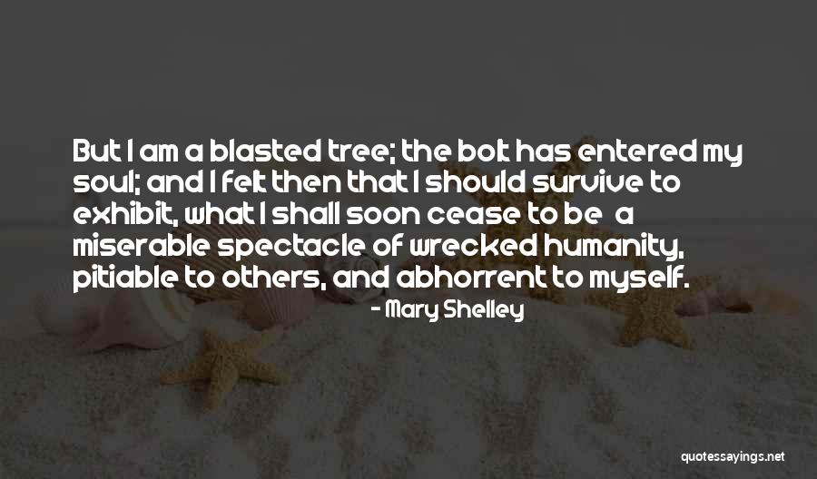 Sofiana Skincare Quotes By Mary Shelley Sofiana Skincare Quotes By Mary Shelley
