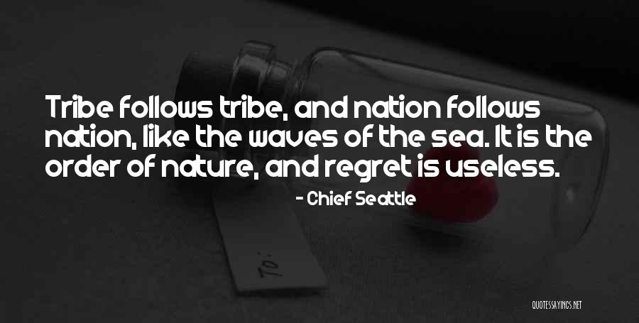 Sofie Dossie Videos Quotes By Chief Seattle Sofie Dossie Videos Quotes By Chief Seattle