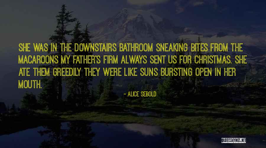 Sofoklis Koskinas Quotes By Alice Sebold Sofoklis Koskinas Quotes By Alice Sebold