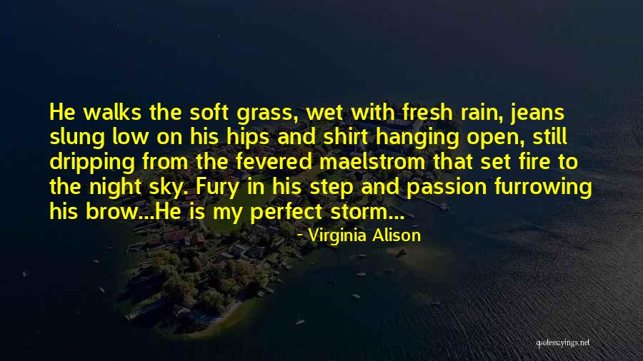 Soft And Wet Quotes By Virginia Alison Soft And Wet Quotes By Virginia Alison