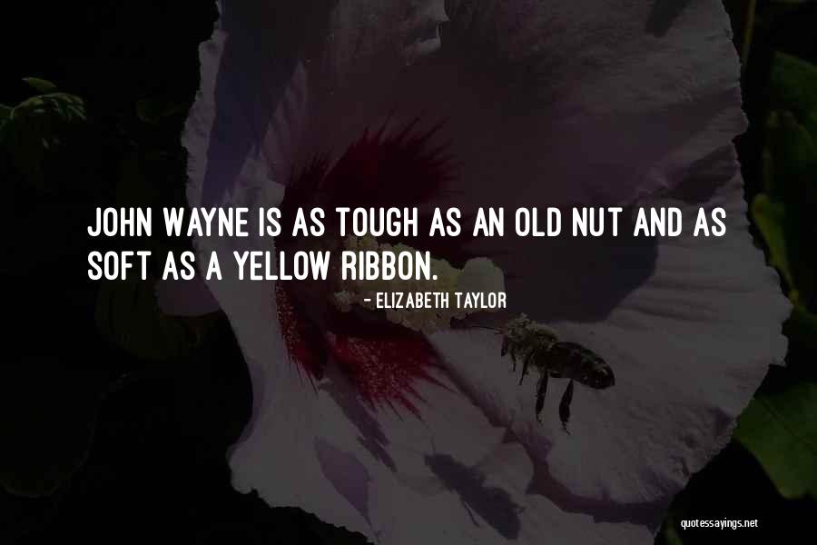 Soft But Tough Quotes By Elizabeth Taylor Soft But Tough Quotes By Elizabeth Taylor
