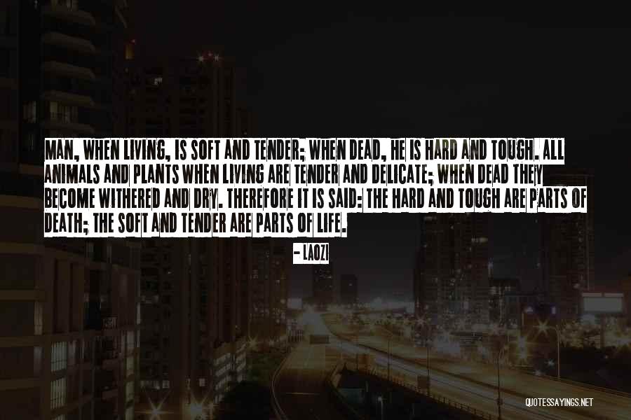Soft But Tough Quotes By Laozi Soft But Tough Quotes By Laozi
