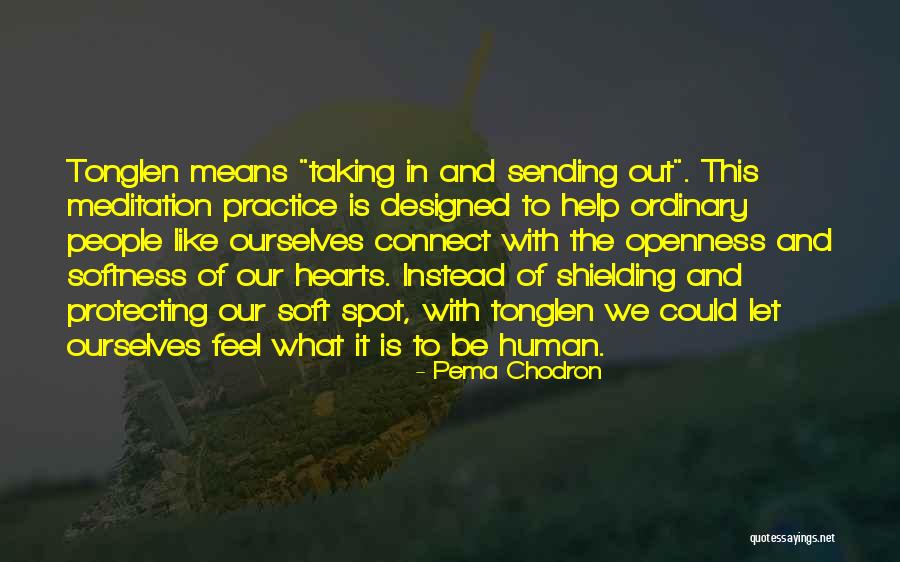 Soft Hearts Quotes By Pema Chodron Soft Hearts Quotes By Pema Chodron