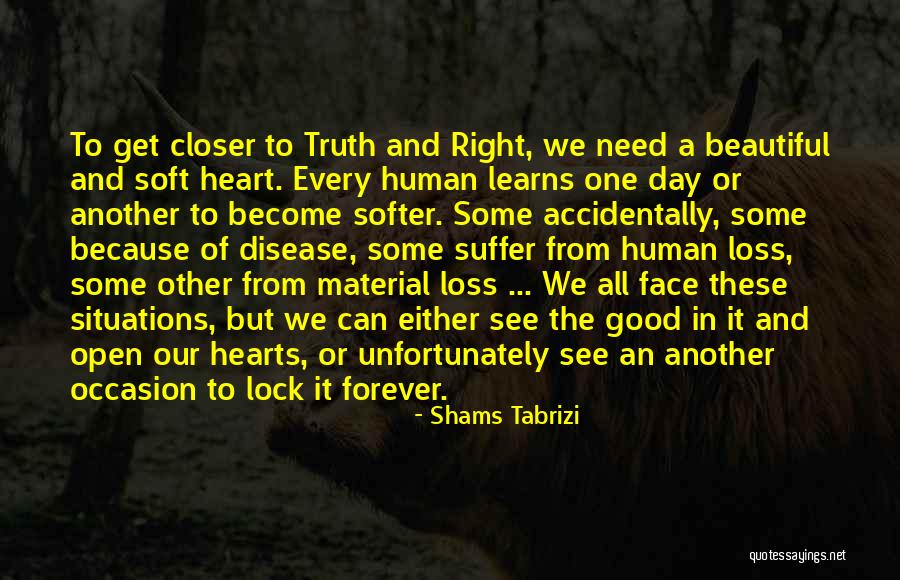 Soft Hearts Quotes By Shams Tabrizi Soft Hearts Quotes By Shams Tabrizi