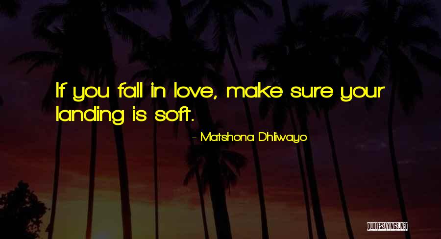 Soft Landing Quotes By Matshona Dhliwayo