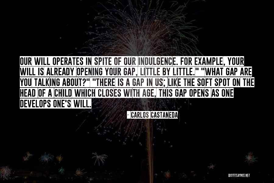 Soft Spot Quotes By Carlos Castaneda Soft Spot Quotes By Carlos Castaneda