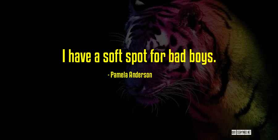 Soft Spot Quotes By Pamela Anderson