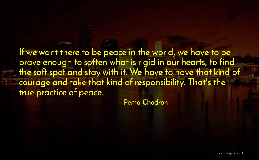 Soft Spot Quotes By Pema Chodron