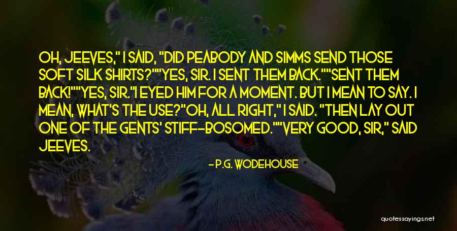 Soft T Shirts With Quotes By P.G. Wodehouse Soft T Shirts With Quotes By P.G. Wodehouse