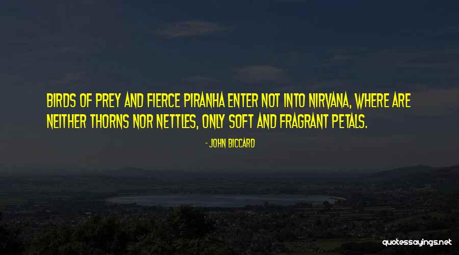 Soft Thorns Quotes By John Biccard Soft Thorns Quotes By John Biccard
