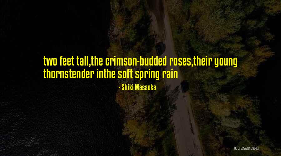 Soft Thorns Quotes By Shiki Masaoka Soft Thorns Quotes By Shiki Masaoka
