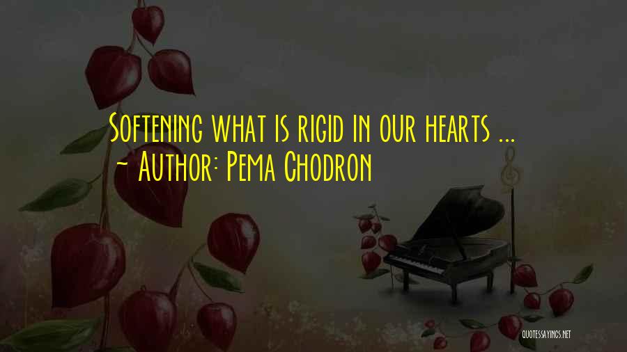 Softening Your Heart Quotes By Pema Chodron
