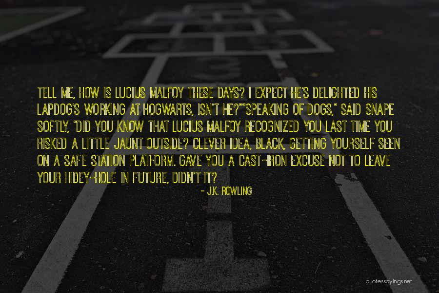 Softly As I Leave Quotes By J.K. Rowling Softly As I Leave Quotes By J.K. Rowling