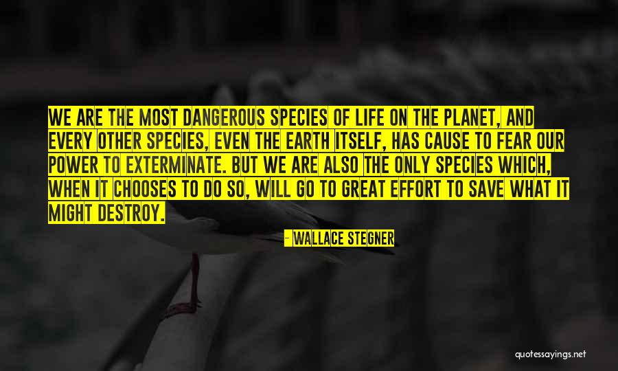 Software Bug Quotes By Wallace Stegner Software Bug Quotes By Wallace Stegner