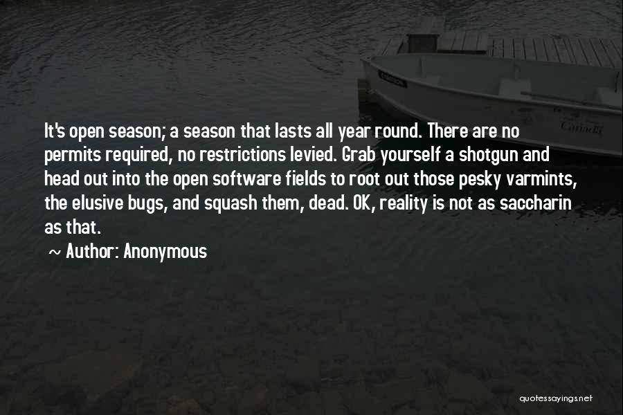 Software Bugs Quotes By Anonymous