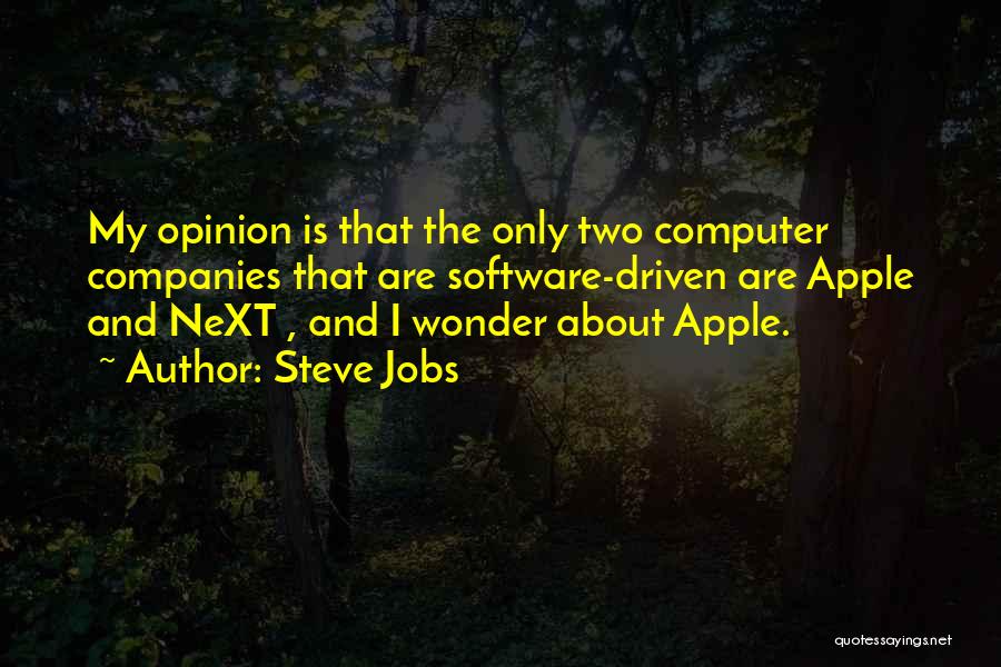 Software Companies Quotes By Steve Jobs