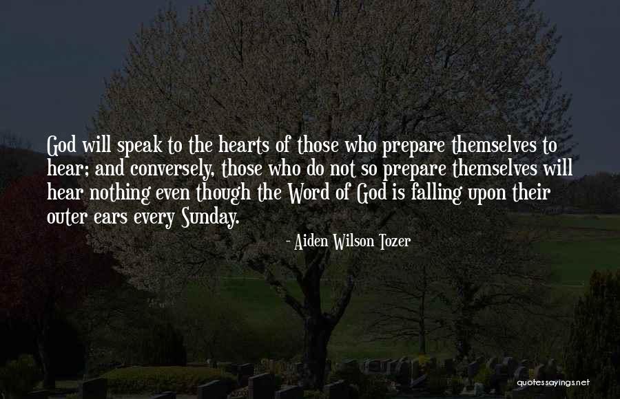 Software Testers Funny Quotes By Aiden Wilson Tozer Software Testers Funny Quotes By Aiden Wilson Tozer
