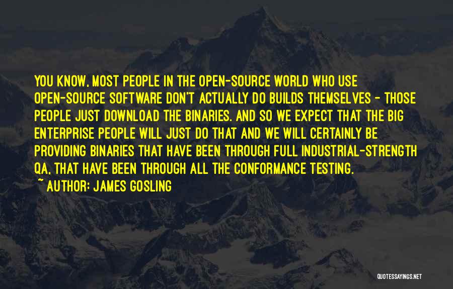 Software Testing Quotes By James Gosling