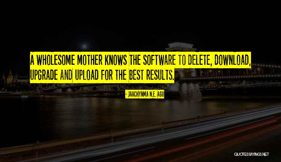 Software Upgrade Quotes By Jaachynma N.E. Agu