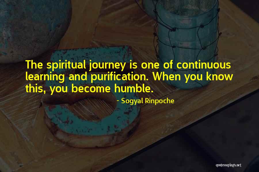 Sogyal Rinpoche Quotes 1058808