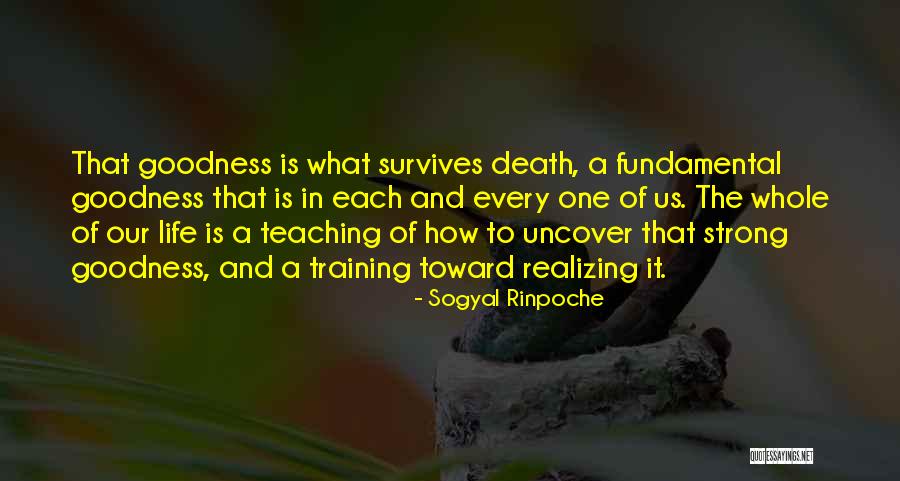 Sogyal Rinpoche Quotes 1078152