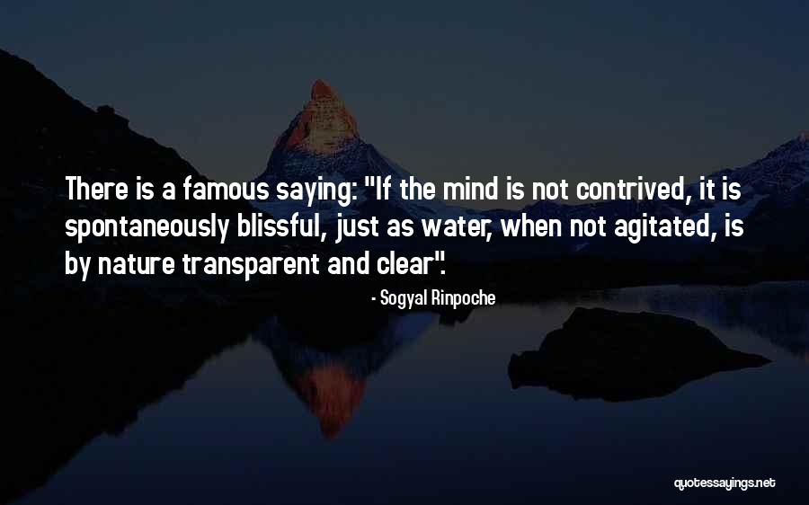 Sogyal Rinpoche Quotes 113107