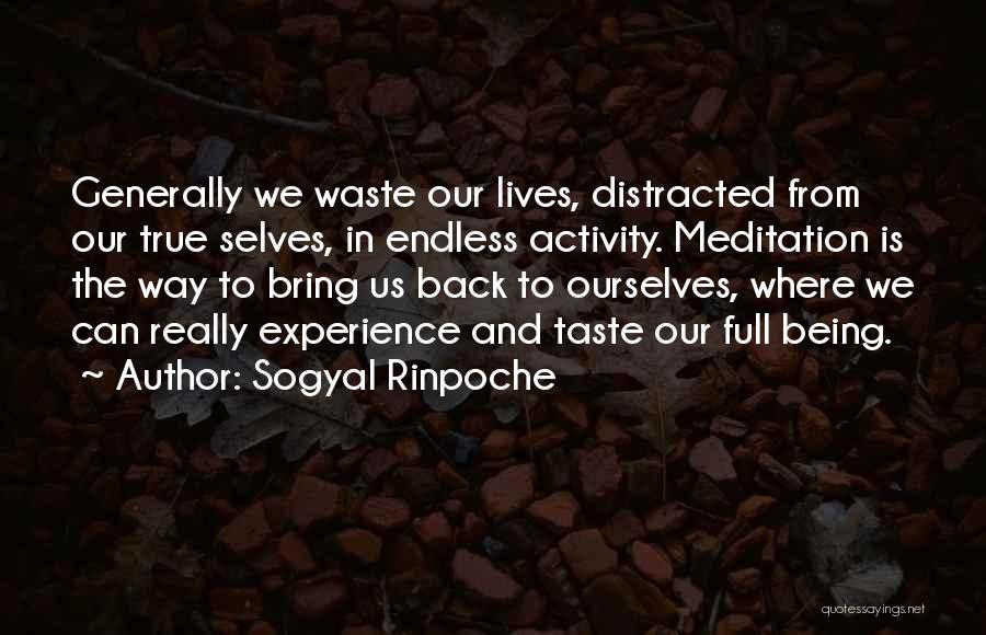 Sogyal Rinpoche Quotes 1177659